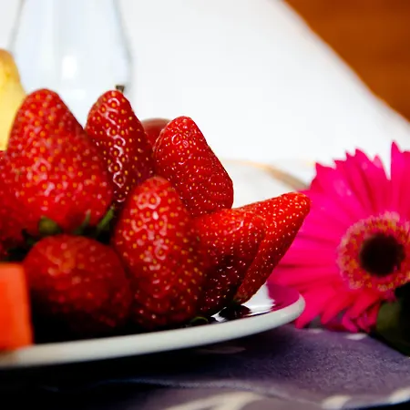 阿利坎特卡斯蒂利亚酒店